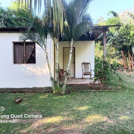 Hostel Los Chocoyos Merida Luaran gambar