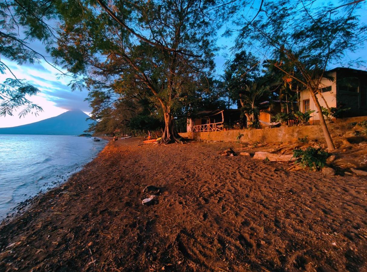 Hostel Los Chocoyos Merida Luaran gambar