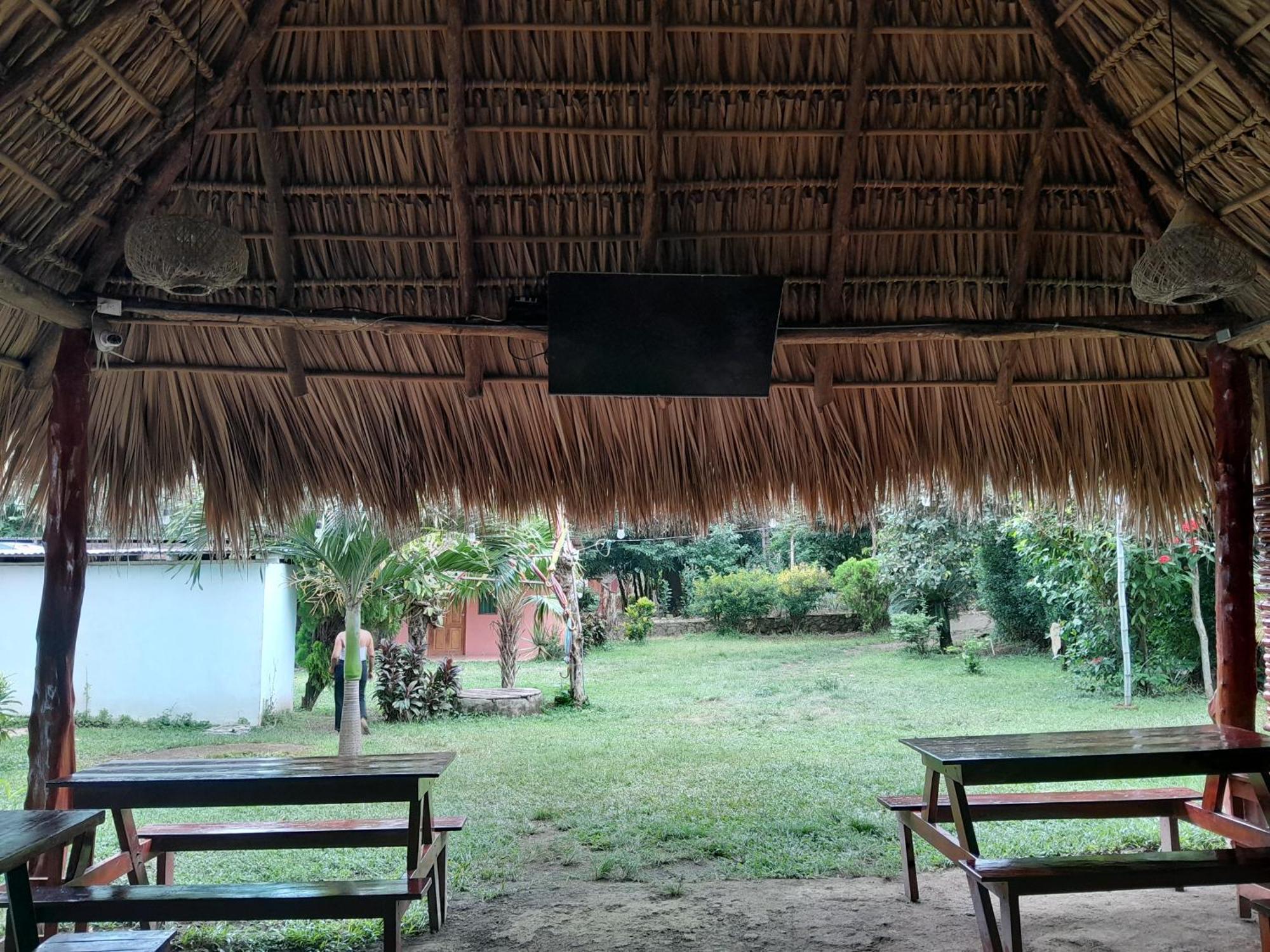 Hostel Los Chocoyos Merida Luaran gambar