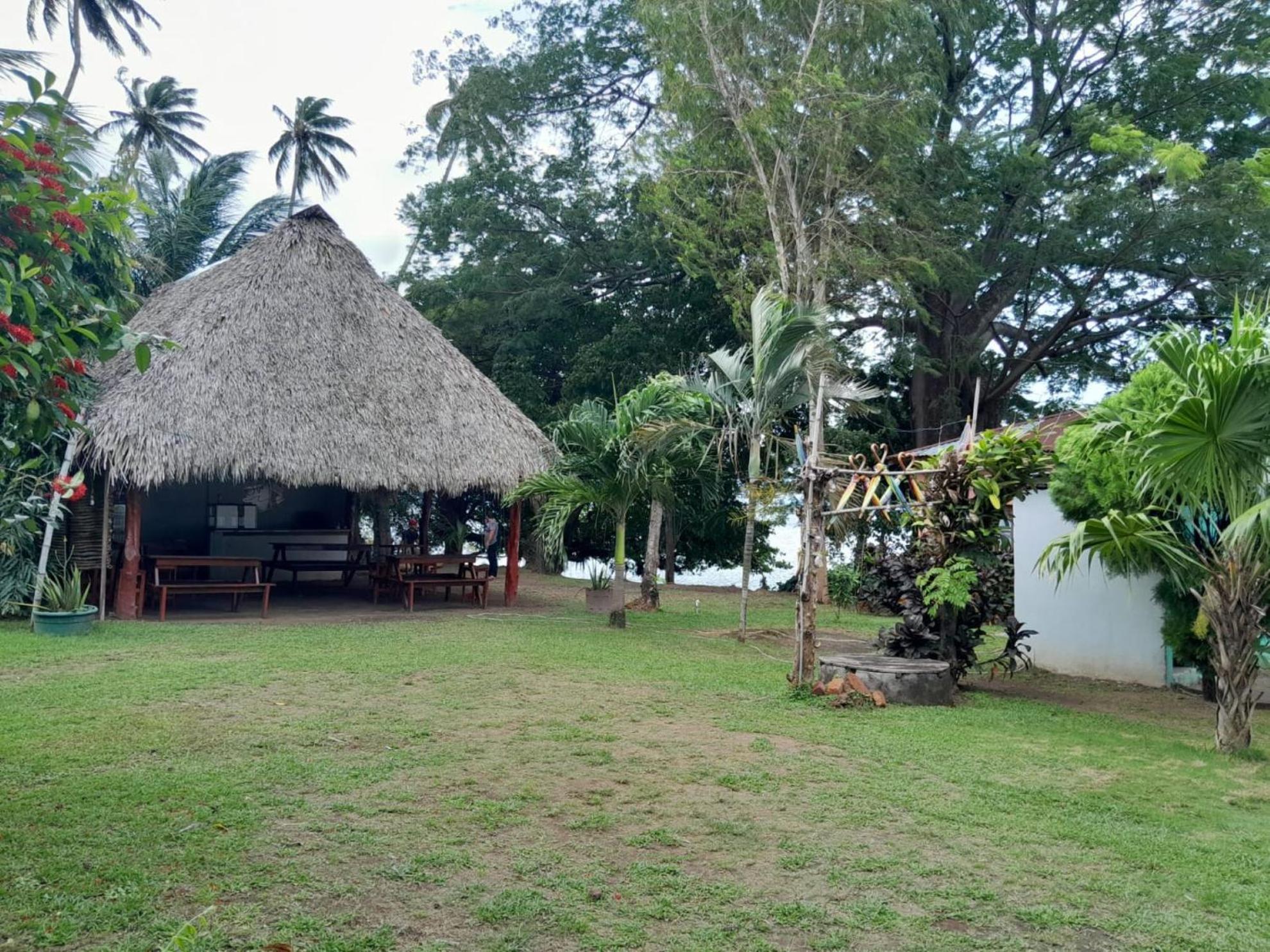 Hostel Los Chocoyos Merida Luaran gambar
