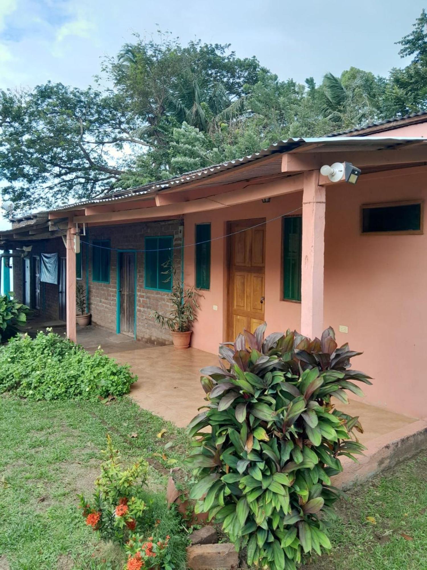 Hostel Los Chocoyos Merida Luaran gambar