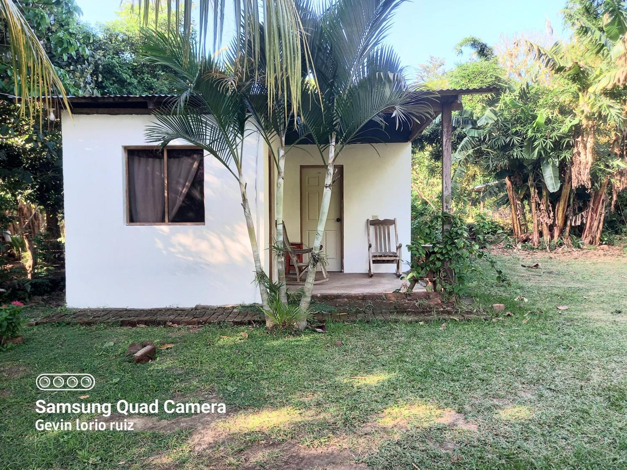 Hostel Los Chocoyos Merida Luaran gambar